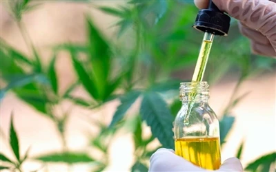 CBD Yağının Sağlığa 9 Faydası ve Yan Etkileri