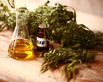 CBD Nasıl Çalışır?