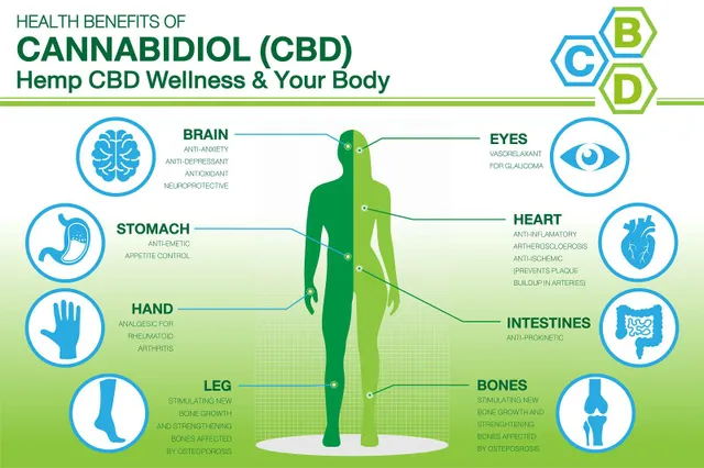 CBD Yağının Sağlığa En Önemli 5 Faydası ve Yan Etkilerine Bir Bakış