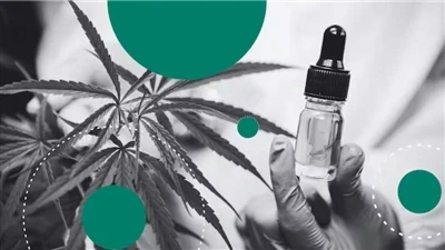 Kenevir ve CBD: Fark Nedir?