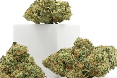 CBD Neden En İyi Doğal Dudak Balsamını Üretir?